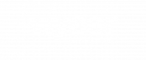 wy-300x124