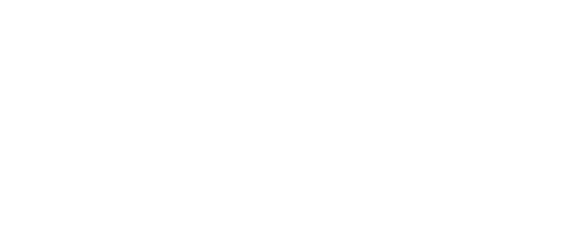 logo w&g