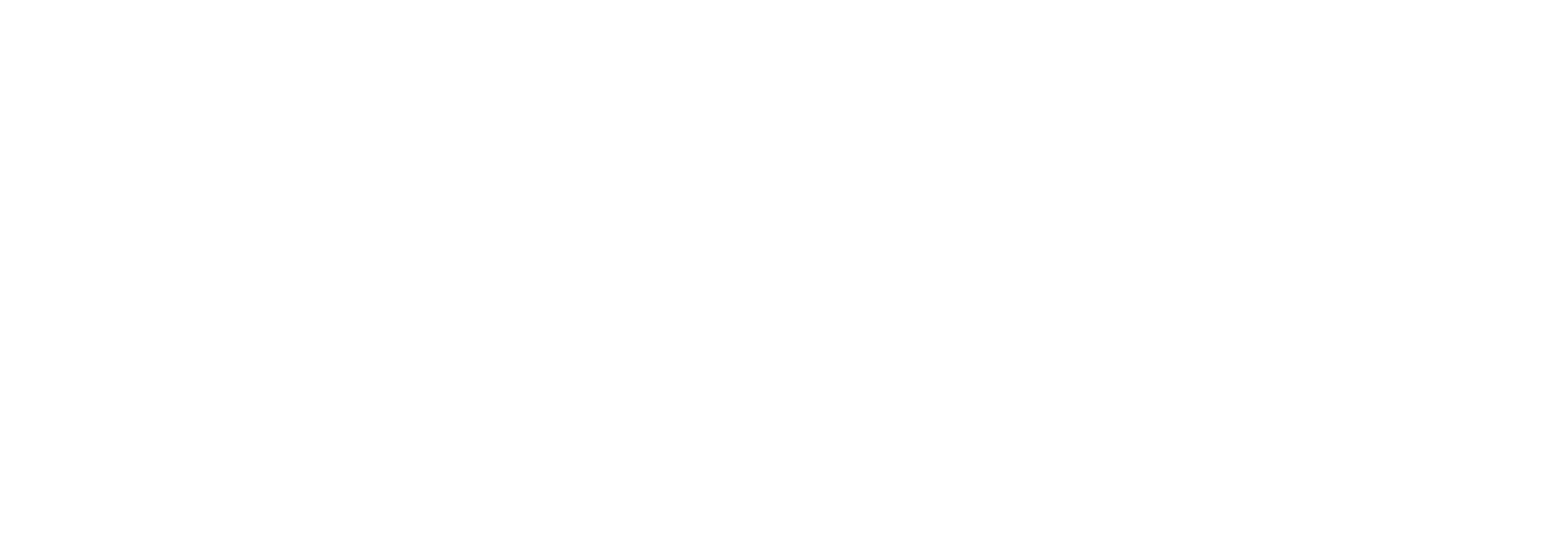BPO_White Logo